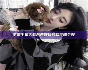 湛江苹果手机下载东西赚钱的软件哪个好 第1张